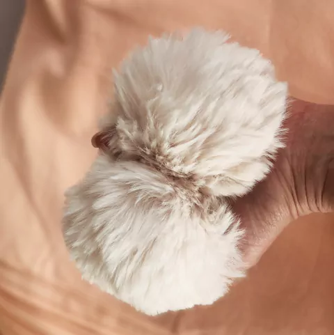 POMPOM-OFF WHITE