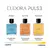 Pulse Desodorante Colônia 100ml - SementeDeGirassol