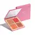Imagem do Palette Multifuncional Niina Secrets Luminous 12g
