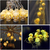 Imagen de Calaveras De Halloween Luz Led Guirnalda Luces Exterior 2m