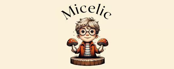 Micelic