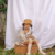 Imagem do Meia Moranguinho | Farmcore