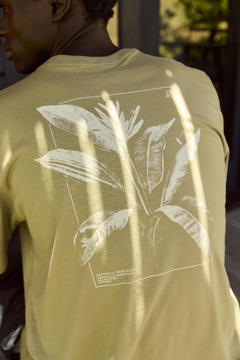 Imagem do T-shirt Graphic Ad trancoso verde