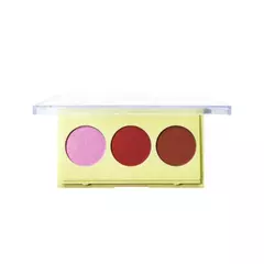 Trio Iluminador, Blush e Contorno - Phallebeauty - comprar online