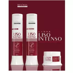 Kit Liso Intenso Begônia na internet
