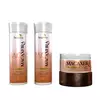 Kit Macaxeira (MANDIOCA) Begônia