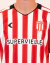 Camiseta Titular 2026 (Manga Larga) - comprar online