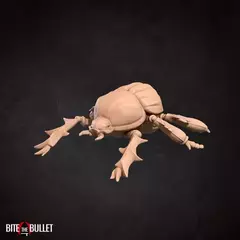 3 Lizard Scarab na internet