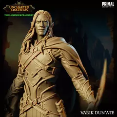 Drizzt Elfo na internet