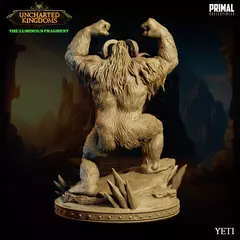 Imagem do Yeti Grande