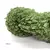Cleopatra Lisa x 150 gr - tienda online