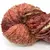 Cleopatra Esfumada x 150 gr en internet