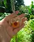 Biojoias - colares de plantas, flores e folhas naturais / colar de resina de plantas secas - comprar online