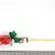 Botão de Rosa - Pirulito - comprar online