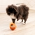 Brinquedo Interativo Alimentador para Cães - Kong Rewards Tipsy - comprar online