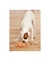 Brinquedo Interativo Dog Smart Wood - Nina Ottosson na internet