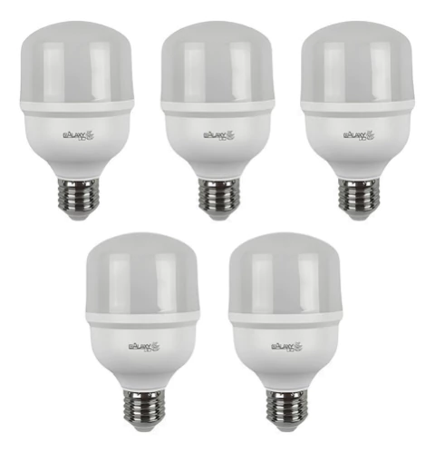 Kit 5 Lampada Led Alta Potencia Bulbo T E27 30w Bivolt 4000k