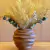 Arranjo Provence - Flores Secas Off White com Vaso Terracota - comprar online