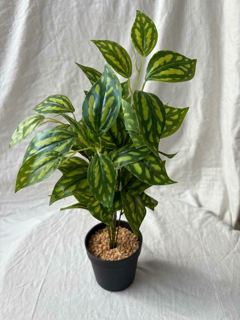 PILEA CÁSCARA DE NUEZ 36CM ARTIFICIAL