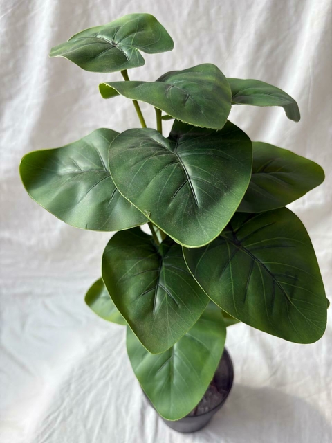 ALOCASIA 50CM ARTIFICIAL