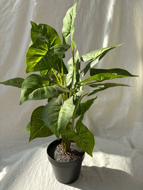 SINGONIUM VERDE ARTIFICIAL 50CM