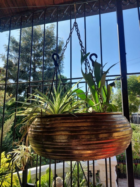 PORTAMACETA COLGANTE 31x31