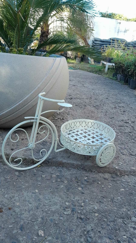 TRICICLO PORTAMACETA