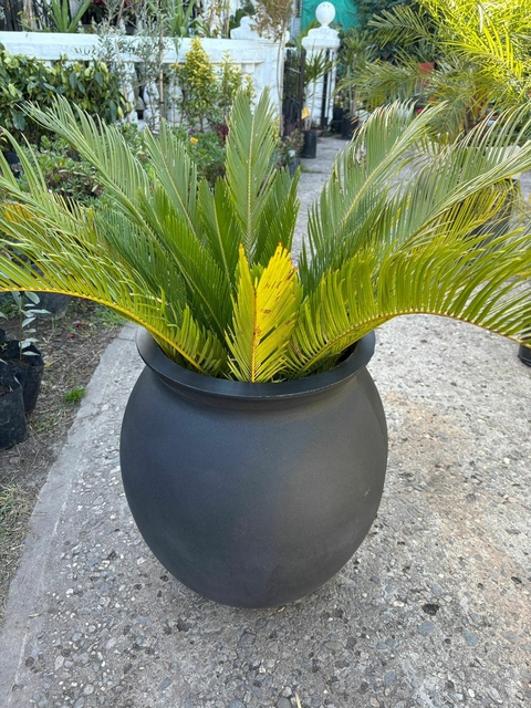 TINAJA 50X35 ROTOMOLDEADA - comprar online