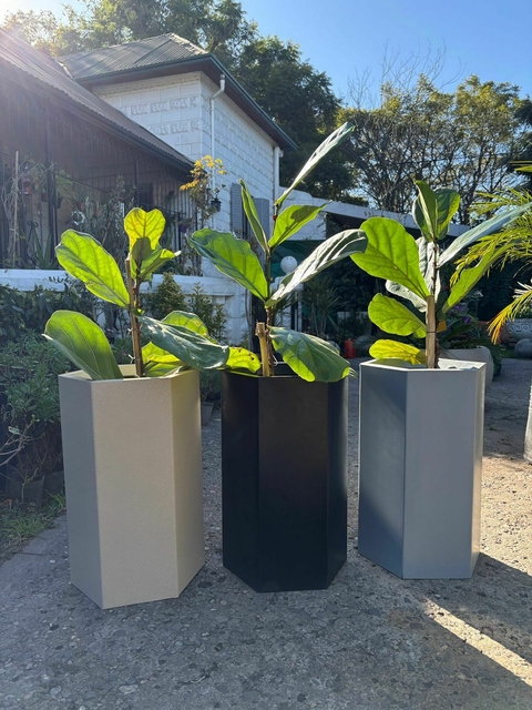 MACETA HEXAGONAL 50x30 ROTOMOLDEADA - comprar online