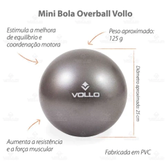 Imagem do Mini Bola de Exercícios Overball Cinza 25cm - Vollo