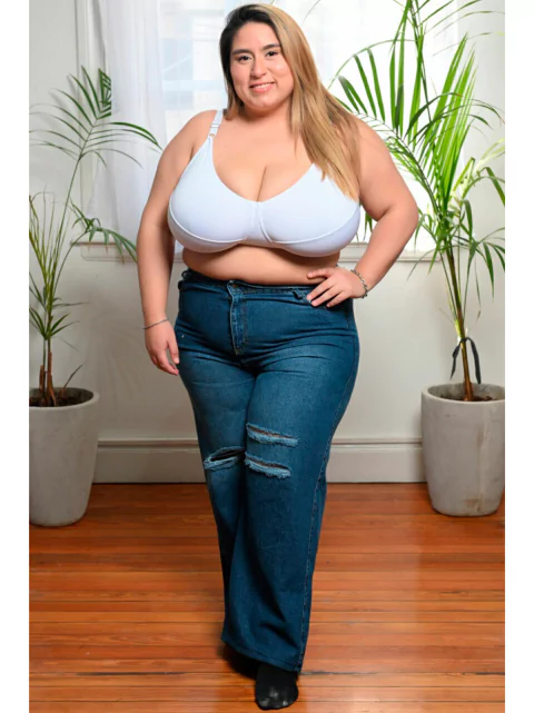 Corpiño Microfibra Sisa Ancha Copa Grande