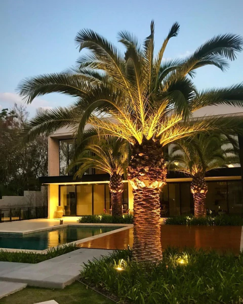 Proyector Bañador LED para Exterior 30 W - comprar online