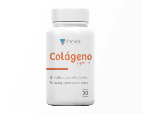 Colágeno Tipo II: Alívio para Dores nas Articulações e Melhora da Mobilidade