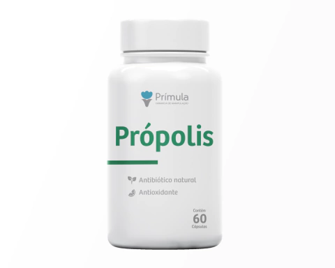 Própolis: Reforce sua Imunidade com o Poder Antibiótico e Antioxidante da Natureza