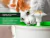 Fuente De Agua Recirculante Gadnic PB2000 Para Perros Y Gatos 1.6L - tienda online