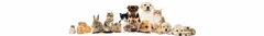 Banner da categoria Pets