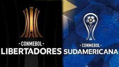 Banner da categoria Libertadores / Sul-Americana 