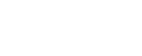 LIVY MODA FEMININA