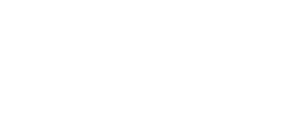 LIVY MODA FEMININA