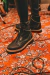 Bota Chano Rock en internet