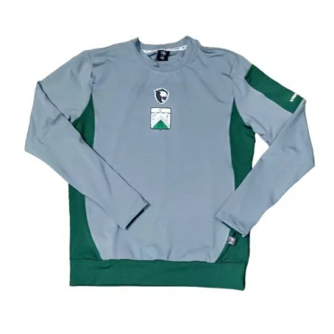 Buzo Entrenamiento Ferro Lyon 2024 - comprar online