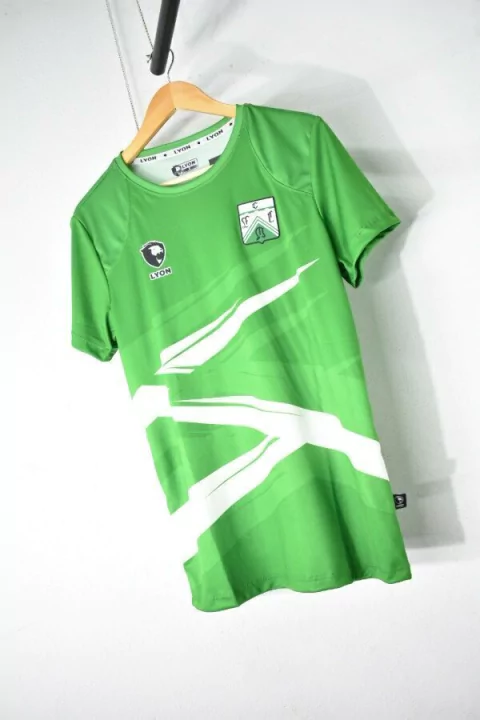 Remera Ferro Entreno 2021