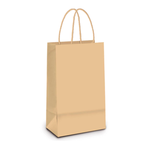 SACOLA PAPEL MÉDIA - 01 UNIDADE