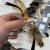 Gafas Miumiu Glass - FLASH SALE - comprar online