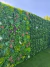 JARDIN VERTICAL - AMAZONA