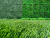 JARDIN VERTICAL - TUNDRA en internet
