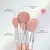 Kit de brochas rosy x8 Lula en internet