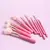 Kit de brochas bubblegum x10 Lula en internet