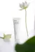 [ROVECTIN] Clean Lotus Water Cream en internet