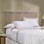 Jogo de Cama Trussardi Fiesole na internet
